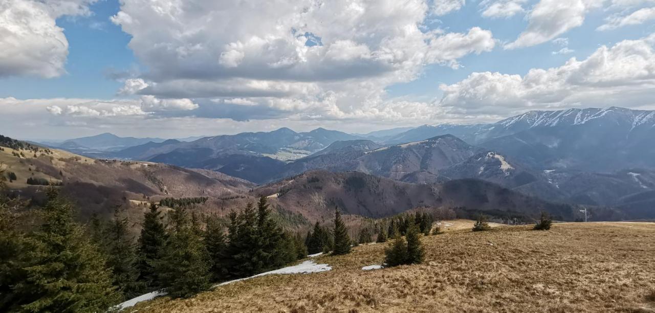 Kamzik Donovaly Apartment Bagian luar foto